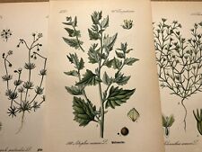 Illustration Pictures