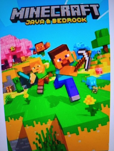 Minecraft java bedrock - minecraft,