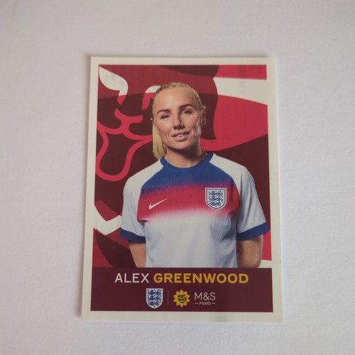 Panini official england - m&s,