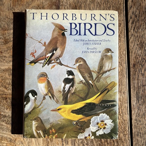 Thorburn birds 1982 - thorburn’s,