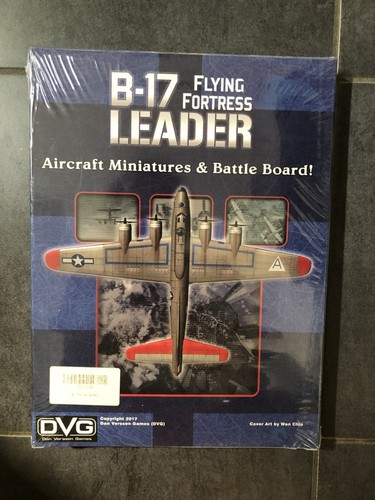 Dvg leader flying - leader,
