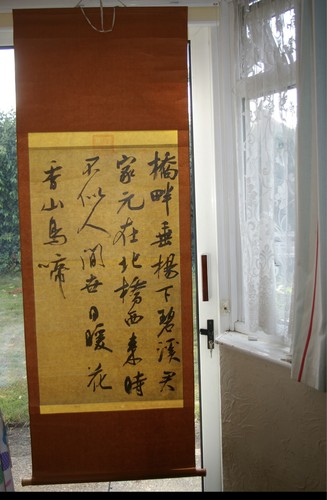 Large year old chinese - large,