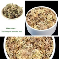 6/12L Dried Sphagnum Moss