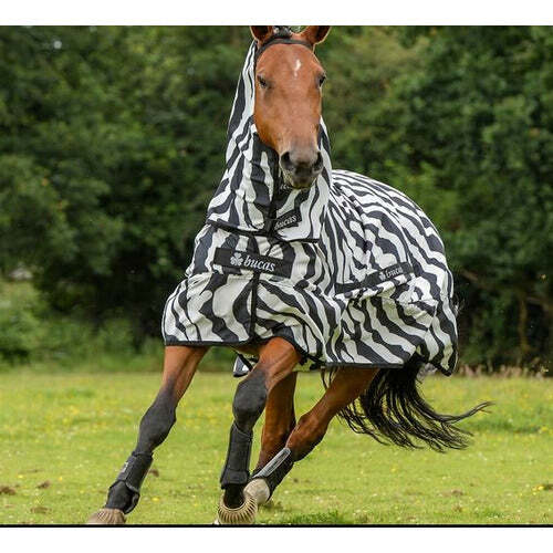 Bucas sweet itch - zebra, with