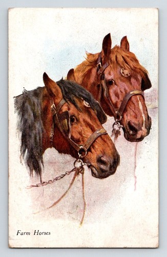 Animals farm horses vivian - farm, horses.