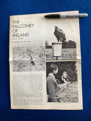1967 falconry ireland - falconry, of