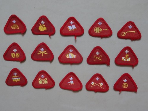 Cub scout proficiency activity - cub, proficiency/activity