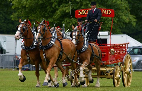 Photo 6x4 the - 6x4, england