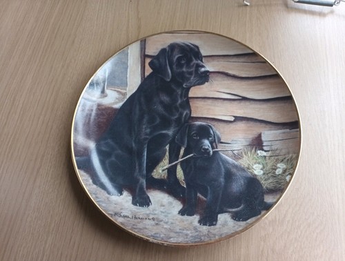 Like father - like, plate