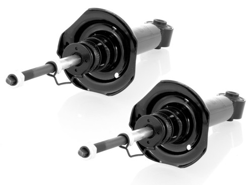 Gas shock absorbers rear - 2x,