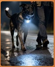 Dog Collar LED Light Clip On