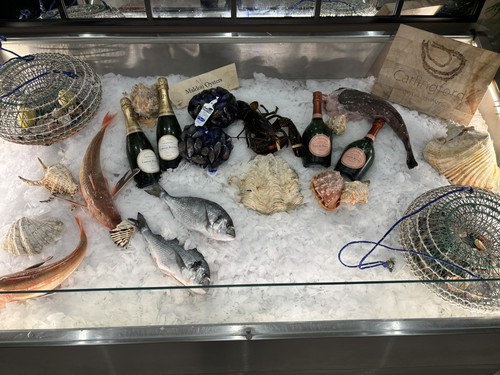 Commercial fish and - fish, seafood