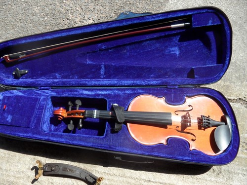 Lovely cathedral violin - lovely,