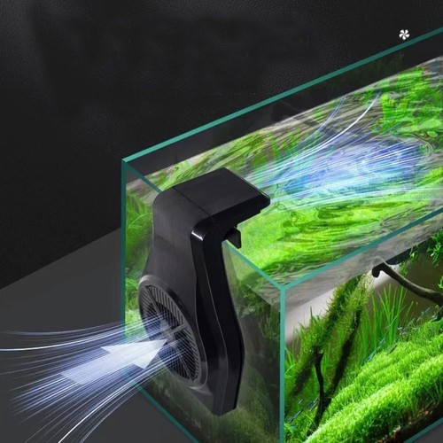 Aquarium fish tank - fish, fan