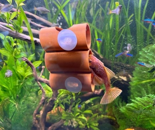 Printed aquarium hide - printed,