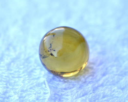 Dominican amber bead blue - amber,