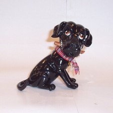 LITTLE PAWS From PETS