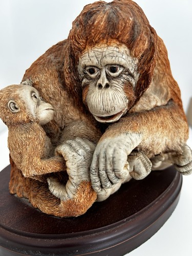 Sherratt and simpson orangutan - sherratt,
