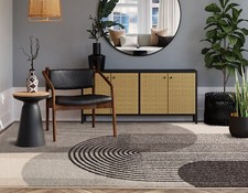 Modern Muse Retro Rug for