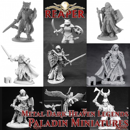 Paladin rpg miniatures - rpg,