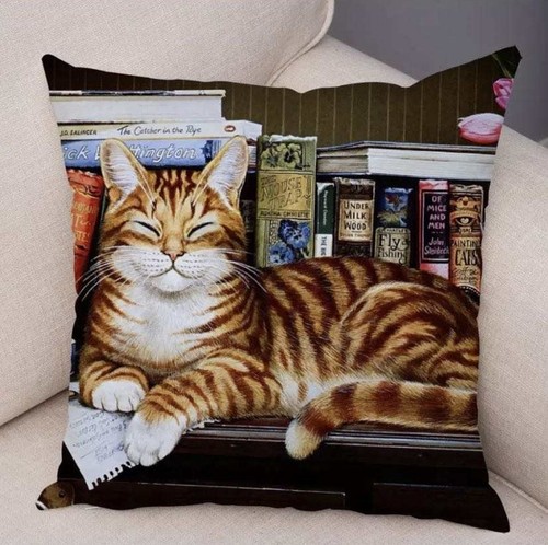 Cat bookshelf cushion cover - bookshelf,