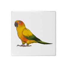 'Sun Conure Bird' 108mm Square