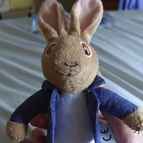 Peter rabbit plush soft toy - peter,