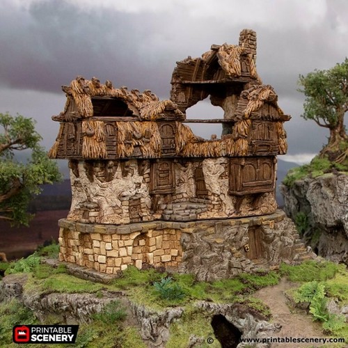 Ruined longhouse building for - longhouse,