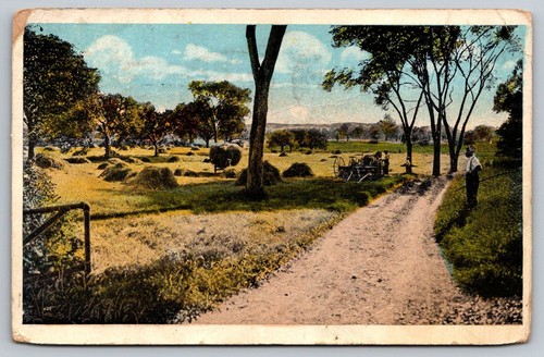 Horse drawn farm equipment - farm,