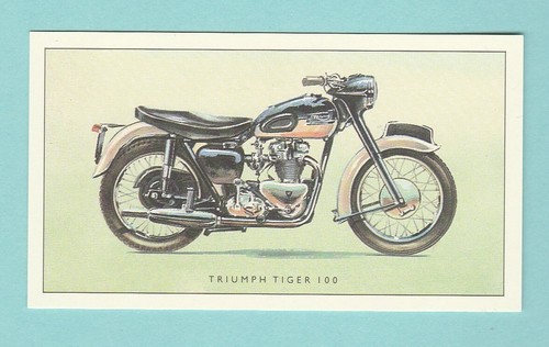 Triumph tiger 100 - ,