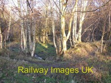 Photo - Old mill pond in the