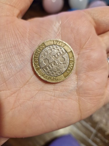 Rare 1707 2007 - rare, coin