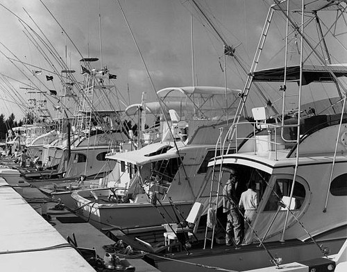 Row sportfishing boats - sportfishing,
