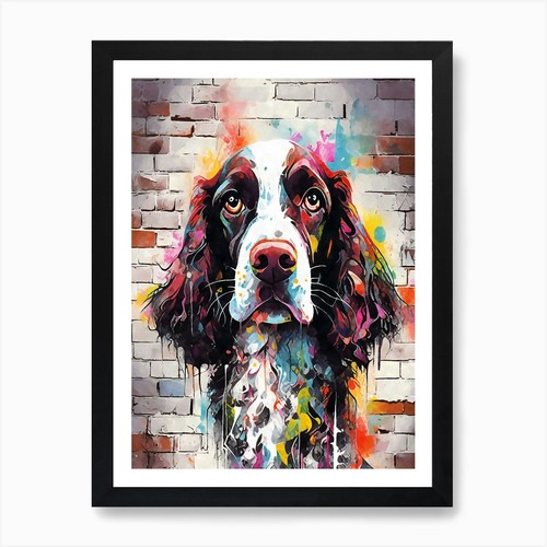 Aesthetic english springer - english,
