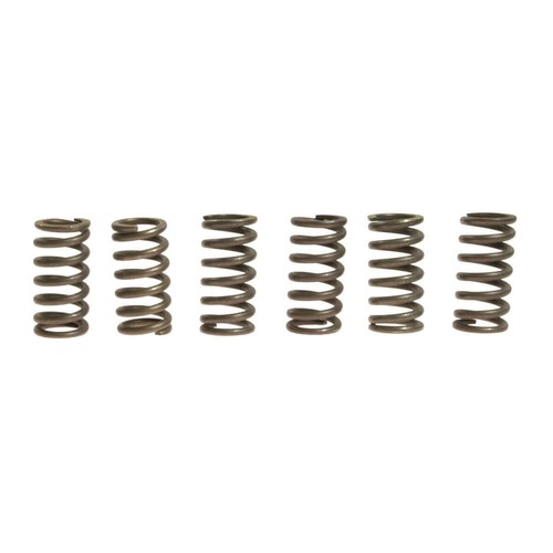 Clutch springs ebc rinf 10 - 6,