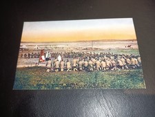 Daily Mail Battle Pictures