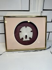 Vintage Nielsen Gold Frame Shadow Box With Sand Dollar Matted