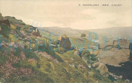 Ilkley moorland view - moorland, valentine