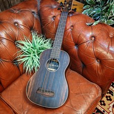 Kala U-Bass EBY-FSR Striped Ebony Electro-Acoustic Bass Ukulele with Gig Bag
