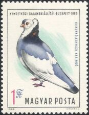 Hungary 1969 Pigeon Exhibition/Birds/Nature/Sports/Pets 1v (n45490)