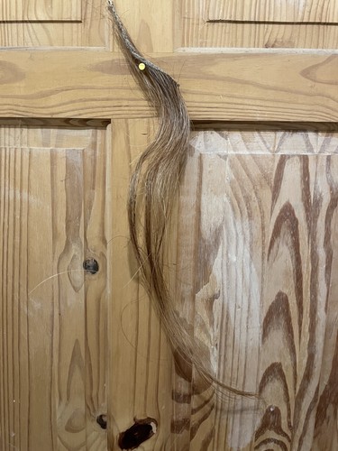 Roan natural horse hair mane - horse,