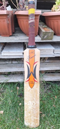 Woodworm the flame pioneer - woodworm,