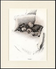 DANDIE DINMONT TERRIER SLEEPING PUPPY CHARMING DOG PRINT MOUNTED READY TO FRAME