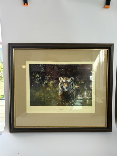 Framed art print - print, tigers