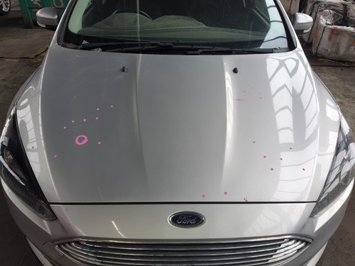 Bonnet silver ford focus - ford,