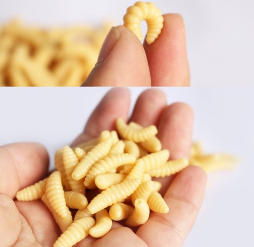 Fake maggots worms for - 50,