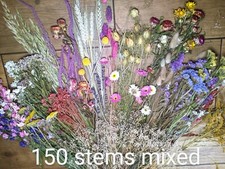 Large 150 stems dried flowers