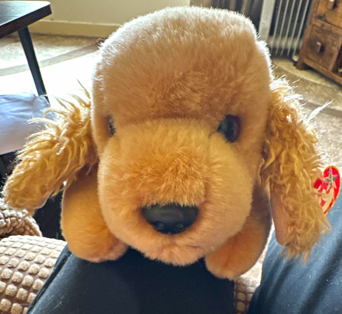 Beanie buddies - beanie, buddy
