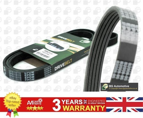 Ribbed belt for - v, brava