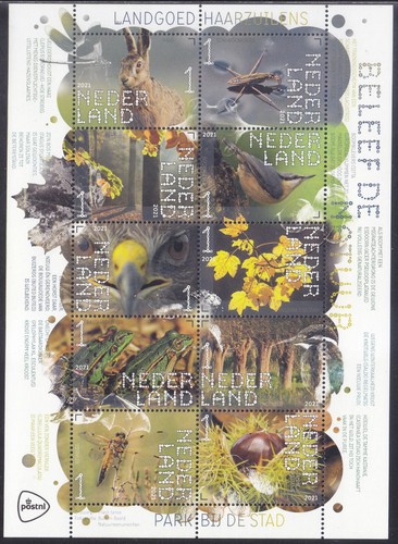 Netherlands issue 2021 ms - issue,